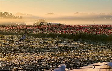 Wo Brandenburg am schönsten ist