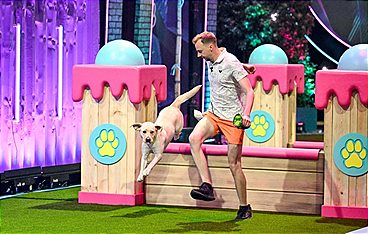 Top Dog Germany - Der beste Hund Deutschlands