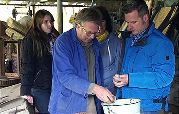 Der Trödeltrupp - Das Geld liegt im Keller