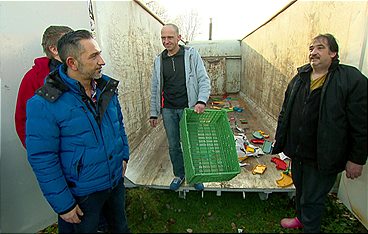 Der Trödeltrupp - Das Geld liegt im Keller