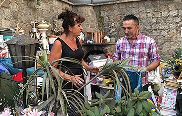 Der Trödeltrupp - Das Geld liegt im Keller