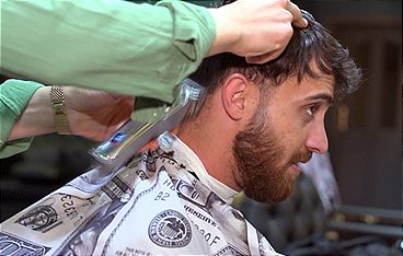 Die Wollnys - Eine schrecklich große Familie!