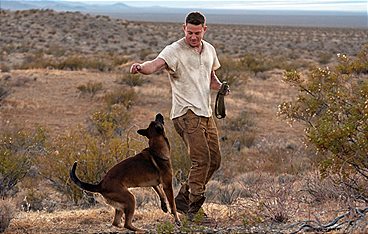 Dog - Das Glück hat vier Pfoten