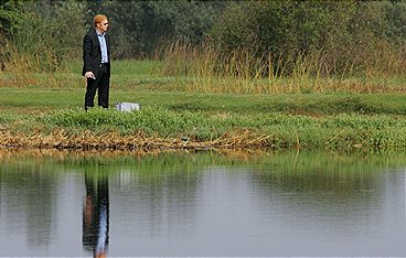 CSI: Miami