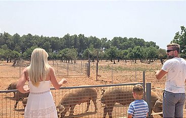 Goodbye Deutschland! Die Auswanderer