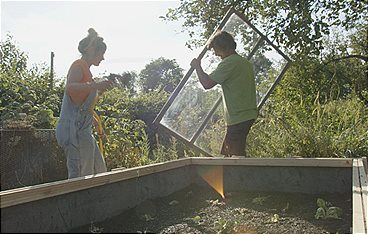 Mein urbaner Garten - Zwischen Blüten und Beton