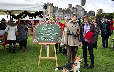 A Royal Corgi Christmas - Weihnachten wird königlich