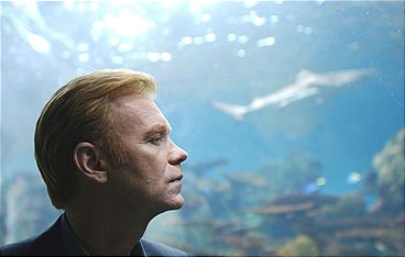 CSI: Miami