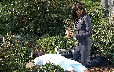 CSI: Miami
