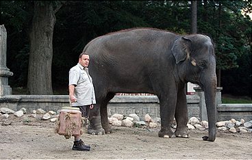 Der Zoowärter
