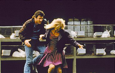 Ein Vogel auf dem Drahtseil