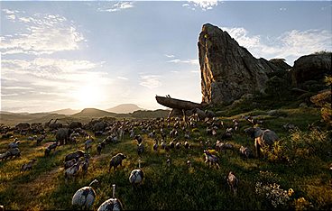 Der König der Löwen