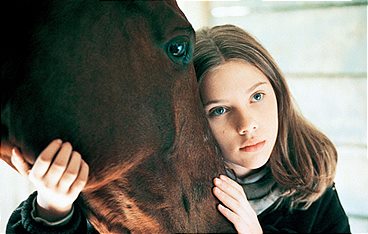 Der Pferdeflüsterer