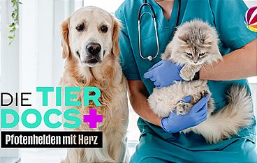 Die Tier-Docs! Pfotenhelden mit Herz