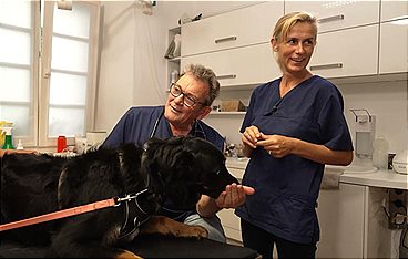 Die Tier-Docs! Pfotenhelden mit Herz