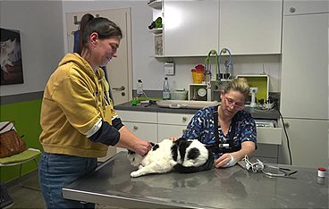 Die Tier-Docs! Pfotenhelden mit Herz