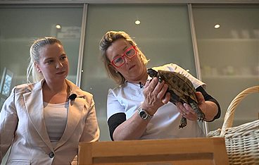 Die Tier-Docs! Pfotenhelden mit Herz