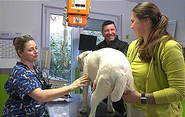 Die Tier-Docs! Pfotenhelden mit Herz