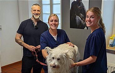 Praxis Dr. Dreesen - Ein Hof für Tiere