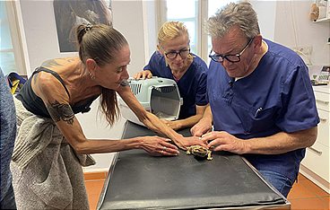 Praxis Dr. Dreesen - Ein Hof für Tiere