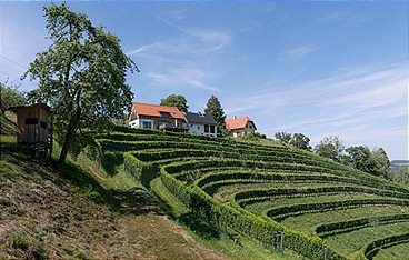 Heimatleuchten