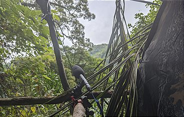 Terra Mater - Die Philippinen