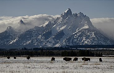 Terra Mater - Die Rockies