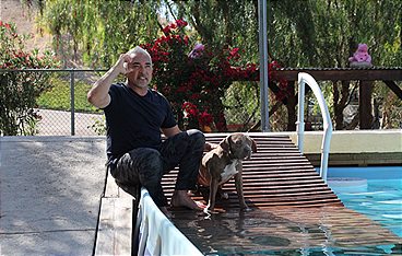 Cesar Millan: Better Human Better Dog - Bessere Menschen, bessere Hunde