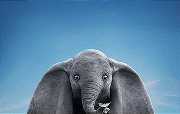 Dumbo
