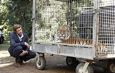 The Mentalist