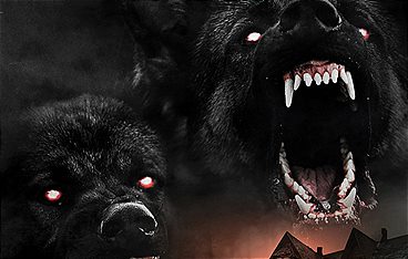 The Dogs