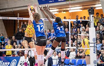 Volleyball Live - Bundesliga