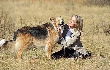 Darling Companion - Ein Hund fürs Leben