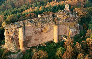 Der Pfälzerwald rund ums Jahr