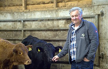 Die Tier-Docs vom Schwarzwald