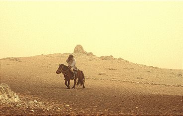 Die Wölfe kommen immer nachts