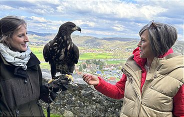 Expedition in die Heimat