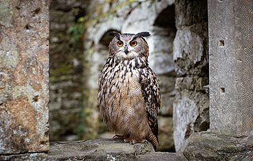 Märchenhaftes Tschechien