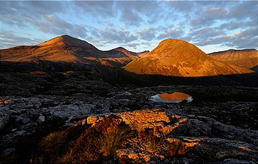 Schottlands neue Wildnis - Das Comeback der Highlands