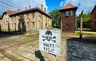 Verfolgt - Die sieben Leben des Dany Dattel