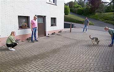 Der Hundeprofi