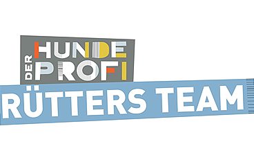 Der Hundeprofi - Rütters Team