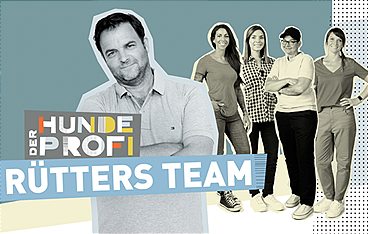 Der Hundeprofi - Rütters Team