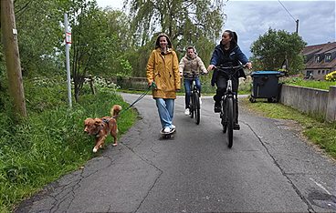 Der Hundeprofi - Rütters Team