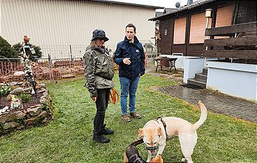 Der Hundeprofi - Rütters Team