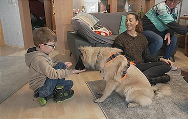 Die Welpen kommen - Mit Martin Rütter