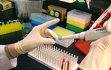 Medical Detectives - Geheimnisse der Gerichtsmedizin