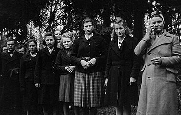 Das Massaker im Arnsberger Wald