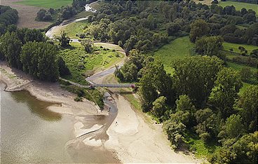 Neues Leben nach der Ahrflut - Die Rückkehr der Natur