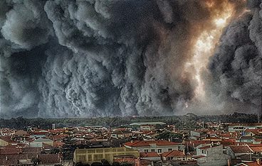 Vom Feuer bedroht - Waldbrand in Portugal